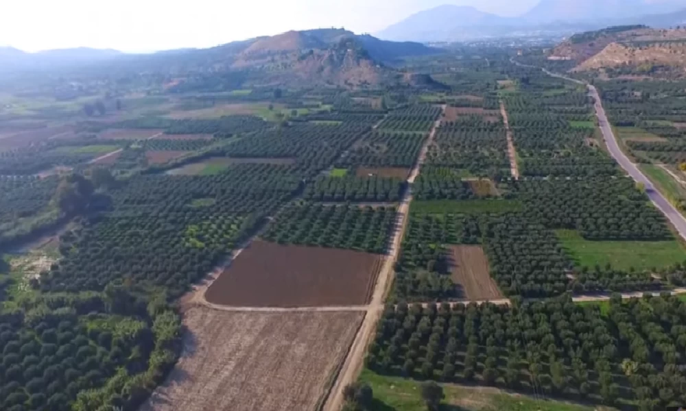 Τραγωδία στη Μεσαρά: 20χρονος εντοπίστηκε νεκρός σε χωράφι